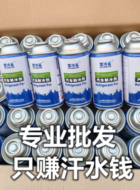 汽车适用于134雪种冷媒汽车空调制冷剂利昂小车货车通用冷媒