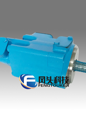 SCENERY塞纳瑞液压油泵S3520V38A14-1AA22R双联注塑机定量叶片泵