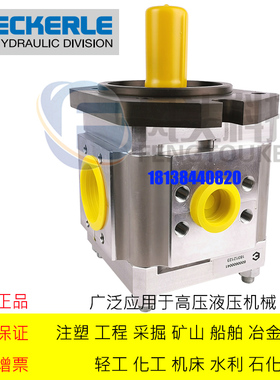 原装德国ECKERLE艾可勒齿轮泵 EIPC6-125RK23-10注塑机伺服齿轮泵