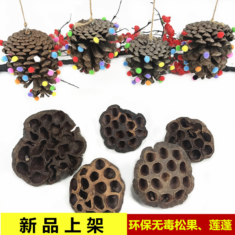 松果装饰干花束狗尾兔尾巴草莲蓬幼儿园diy手工制作材料森系摆件
