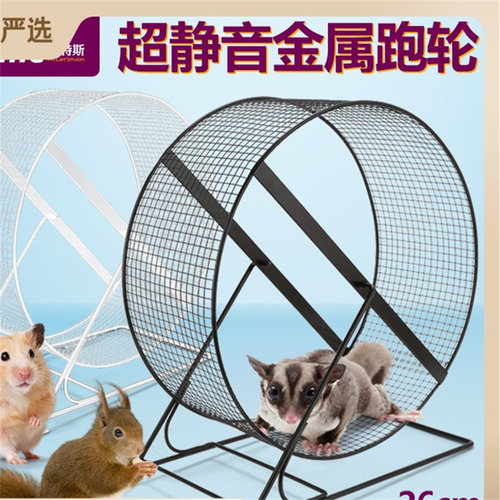 跑轮宠物用品蜜袋鼯金丝熊跑步机