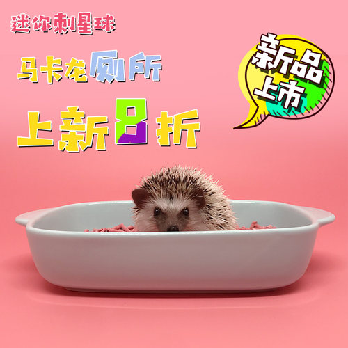 迷你刺猬厕所意式马卡龙
