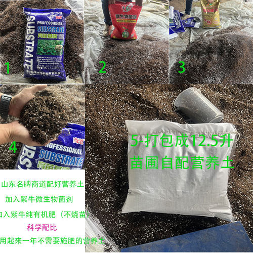 苗圃科学自配营养土加入紫牛有机肥紫牛微生物菌剂一年不需要加肥