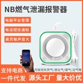 220V独立燃气报警器天然气煤气液化气家用厨房一氧化碳泄漏可燃探