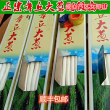 顺丰山东铁杆章丘大葱优等大葱新鲜5斤精品蔬菜10斤精选蔬菜生吃
