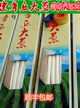 顺丰山东 正宗章丘大葱优等大葱新鲜5斤精品蔬菜10斤精选蔬菜生吃