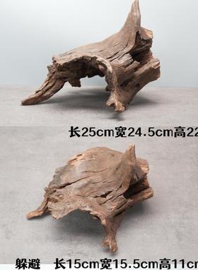 中小型紫柚木孔洞沉木异型鼠鱼三湖慈鲷躲避屋爬宠龟晒台天然树洞