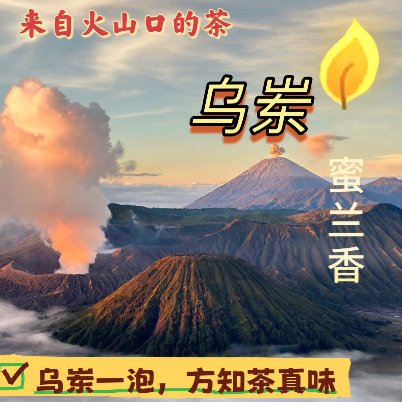潮州市凤凰镇乌岽山蜜兰香