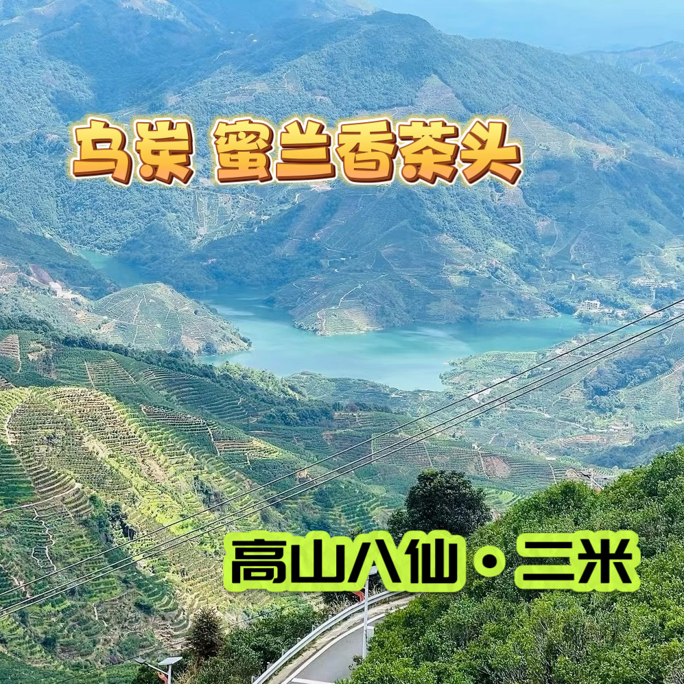 乌岽蜜兰香茶头+高山八仙二米（冷泡更佳）