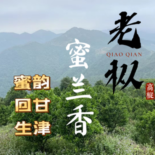 潮州凤凰单丛茶蜜兰香花香蜜韵碳焙鸭屎香天池老枞蜜兰香凤凰单枞