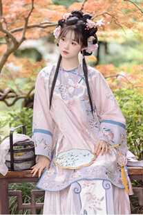 清汉女装清朝晚清古董衣国风印花倒大袖上衣氅衣马面裙套装格格装