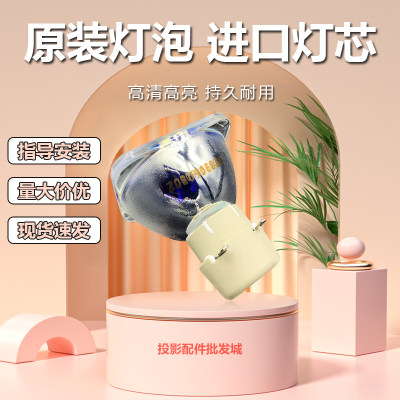 原装全新正品丽讯投影机灯泡