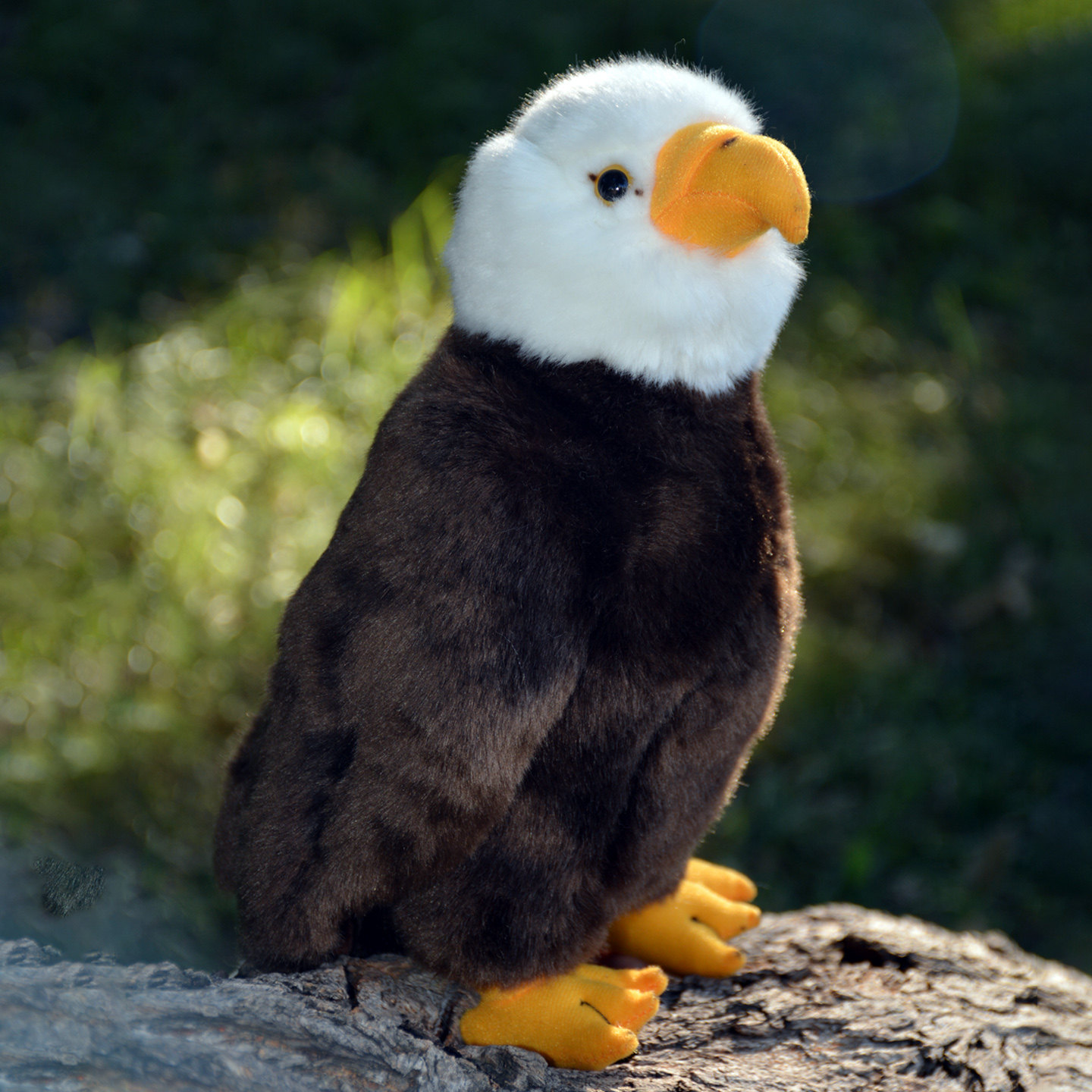 仿真美洲白头海雕毛绒玩具秃鹫老鹰公仔鸟类飞禽玩偶家居生日礼物