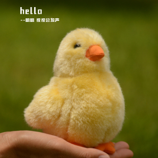 可爱小黄鸡毛绒公仔小鸡玩偶仿真动物鸡宝宝玩具儿童生日礼物妈妈