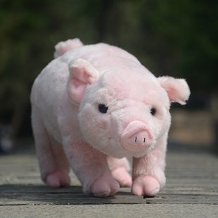 仿真猪毛绒玩具可爱小猪玩偶布娃娃粉色猪猪公仔生肖摆件生日礼物
