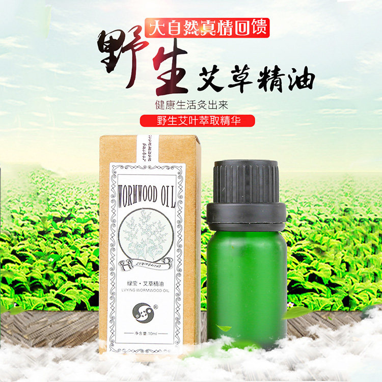 绿莹艾草精油身体按摩 通经络 刮痧油推拿蕲艾精油 艾叶精油艾灸