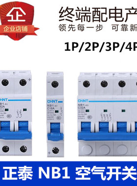 正泰小型断路器NB1-63 1P2P3P4P C3A4A6A10A16A202532A40A63A交流