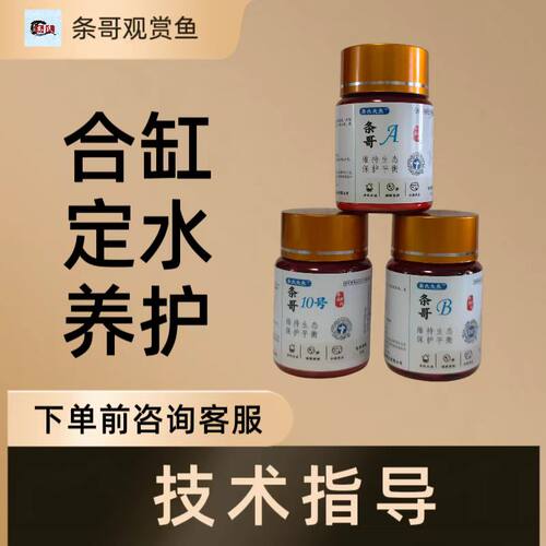 条哥 ，观赏鱼（双杀，检疫，杀虫，杀菌，问题咨询）。