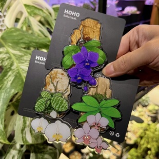 HOHO原创·新款蝴蝶兰冰箱贴绿植磁吸冰箱贴亚克力花卉家居磁贴