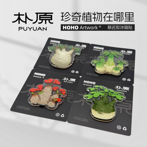 HOHO原创·朴原联名款块根植物冰箱贴亚克力磁吸贴