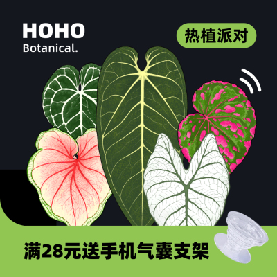 HOHO热植派对磁吸冰箱贴
