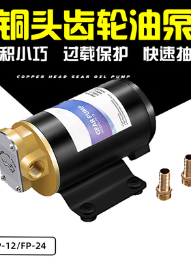 FP-12 12v24V直流齿轮油泵加油泵自吸泵柴油泵吸油泵微型抽油泵