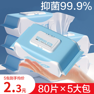 湿厕纸湿纸巾家庭装湿巾卫生纸如厕私处速干擦屁屁杀菌清洁湿巾纸