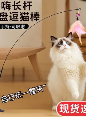 猫玩具逗猫棒自嗨解闷神器带吸盘长杆宠物小猫咪玩的幼猫用品大全