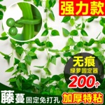 绿萝爬墙固定器绿植攀爬绿植爬墙神器夹子墙上无痕挂钩粘爬藤杆子