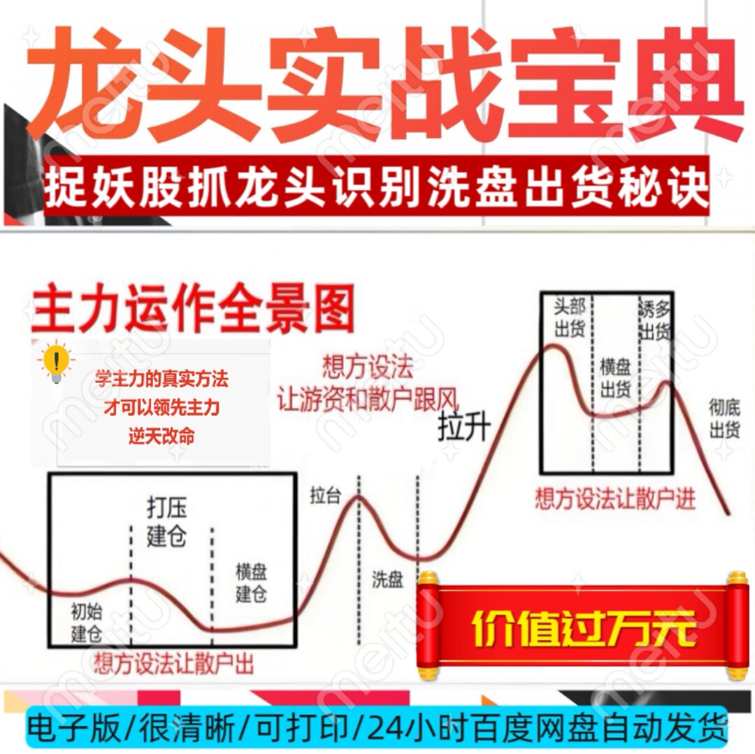 龙头战法宝典股票基础知识教程捉妖股涨停洗盘出货技巧详解电子版