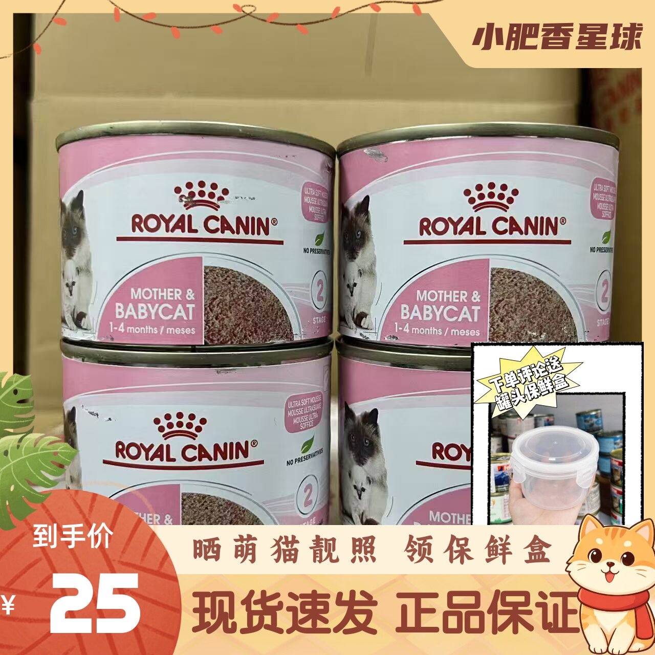皇家进口幼猫奶糕慕斯离乳期湿粮猫咪营养增肥发腮湿粮罐现货195g