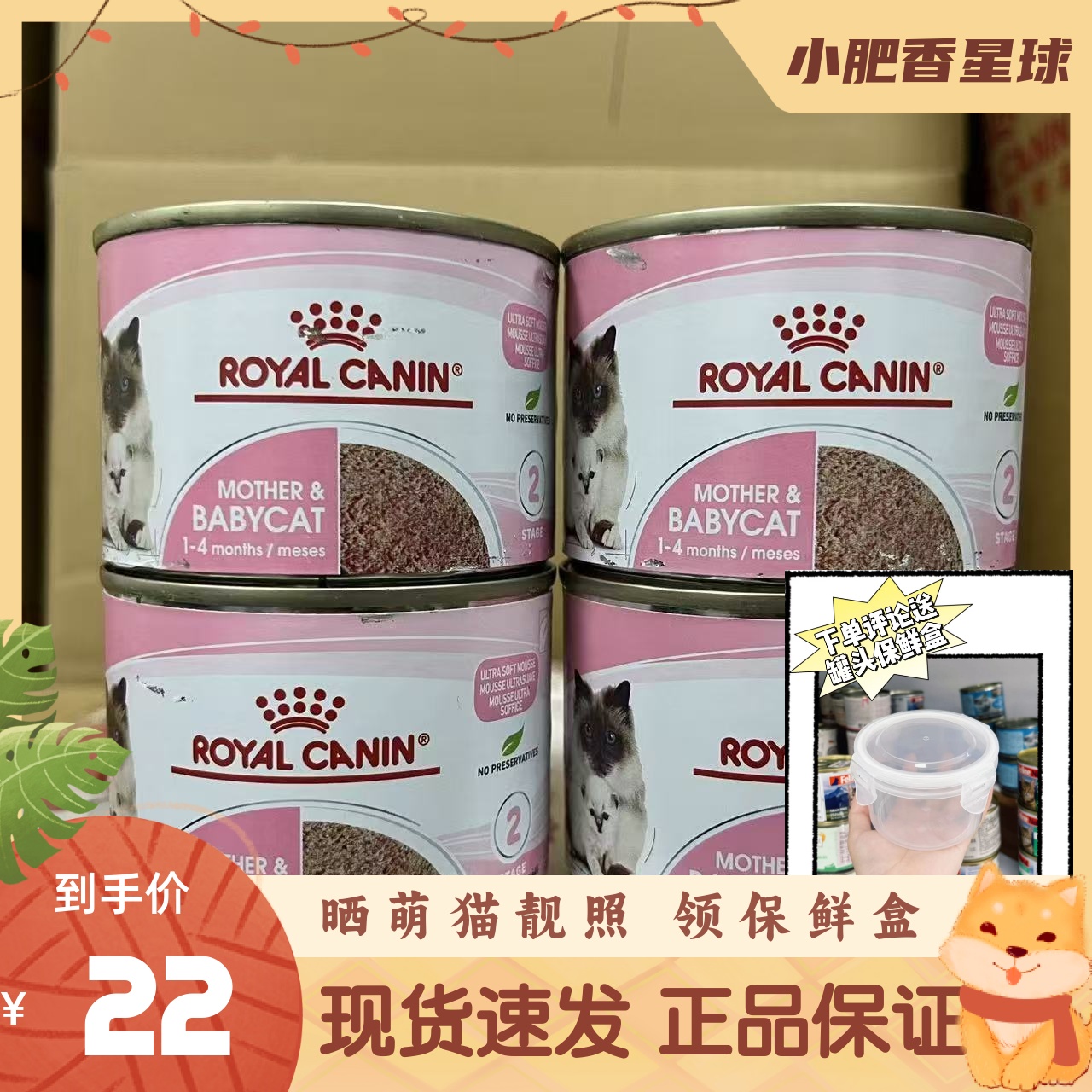 皇家进口幼猫奶糕慕斯离乳期湿粮猫咪营养增肥发腮主食罐现货195g