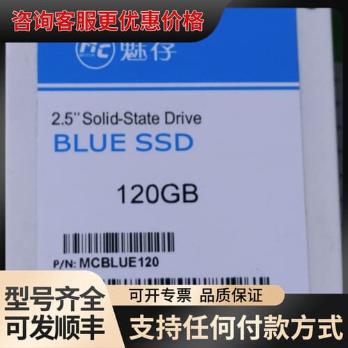 议价魅存BLUE SSD 120GB可维修