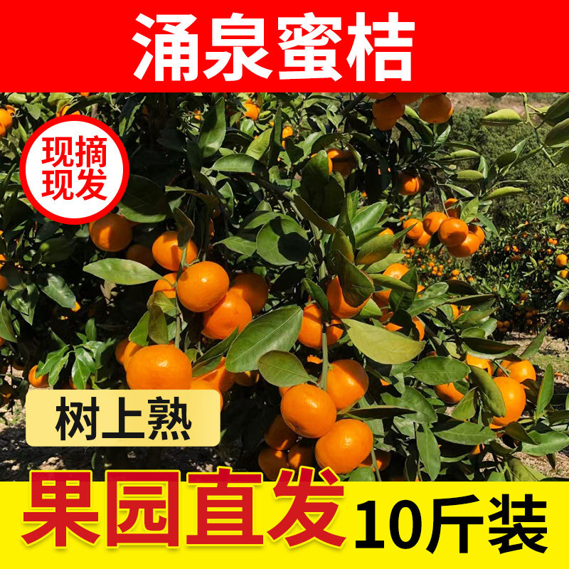 正宗浙江临海涌泉蜜桔当季新鲜水果黄岩橘子10斤整箱官方旗舰店
