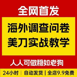 海外调查问卷美刀实战教学，老牌项目，人人可做稳如老狗