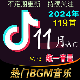 抖音2024年11月流行音乐歌单MP3格式BGM音频素材下载音量一致流畅