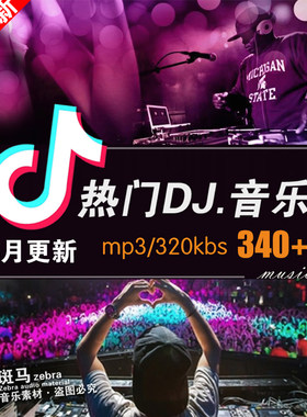 车载统一音量抖音快手DJ歌曲