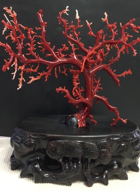 日本台湾天然正品深海红色摆件