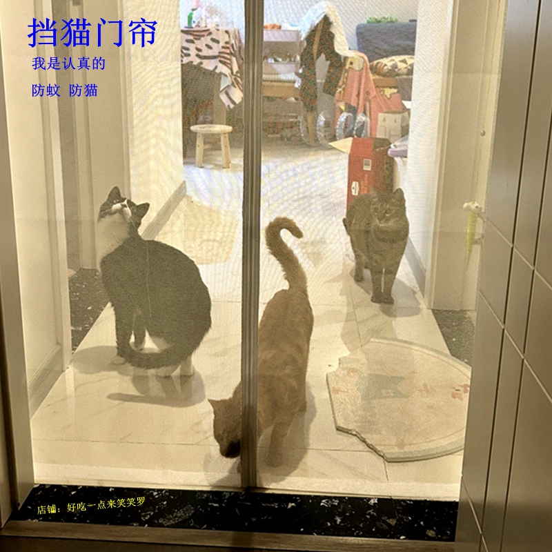 挡猫门养猫神器防猫门帘拉链猫纱门拦猫纱窗门免打孔沙门宠物门挡 居家日用 纱窗/纱门 原图主图