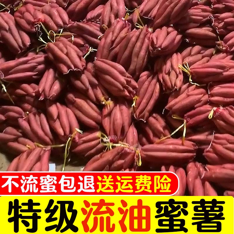 新山东烟薯25号流油红糖心稀软密蜜薯地瓜商用红薯烟台高产可做种