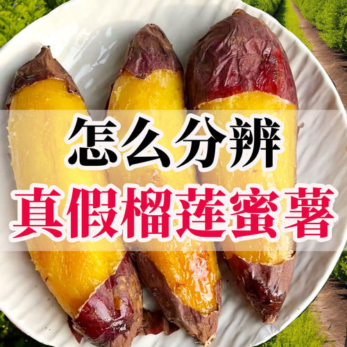 真榴莲蜜薯和榴莲一样甜一样软