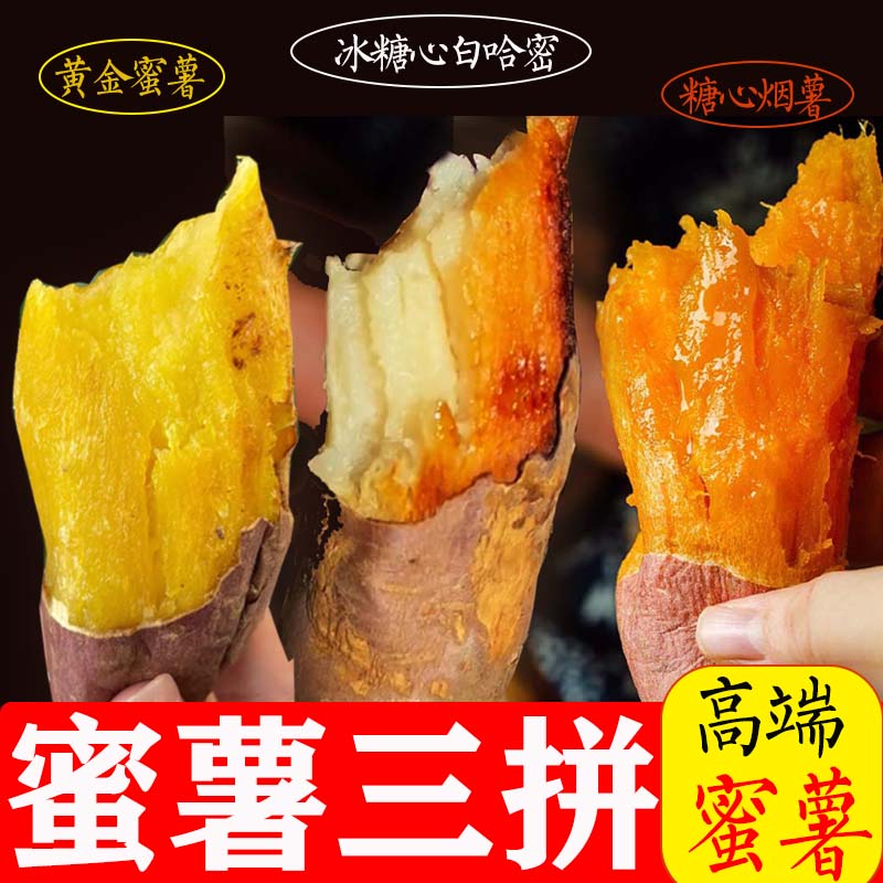 山东高端蜜薯白哈密白玉糖心烟薯番薯