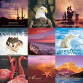 吉布森 Dan Gibson 丹 Solitudes大自然音乐251CD无损合集FLAC