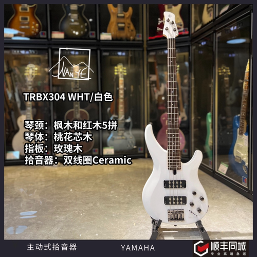 TRBX系列初学进阶电贝司