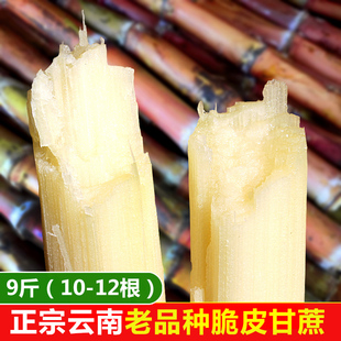 现砍现发 正宗云南红皮甘蔗新鲜水果绿皮脆皮孕妇9斤当季超甜汁多