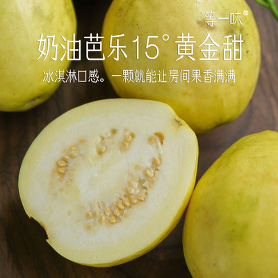 黄金奶油芭乐 软糯香甜哇！盐碱地品种 番石榴 等一味食材 包邮