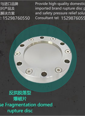 反拱 脱落型爆破片装置YT泄爆夹持器管道压力容器安全阀粉尘 泄压