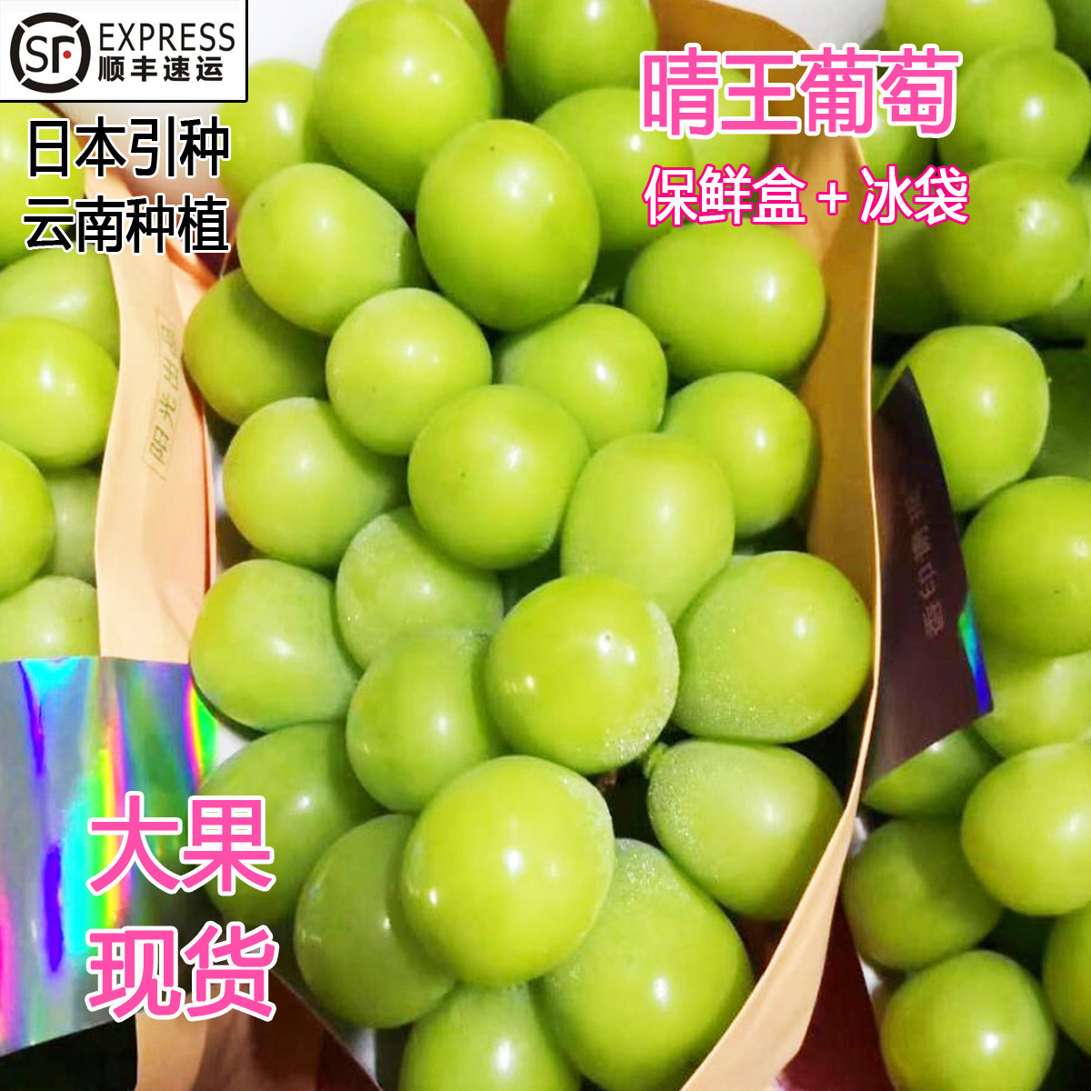 现货 晴王葡萄阳光玫瑰葡萄香印青提无籽葡萄翠玉无籽青提2斤装|ruв категории водной мясо/свежие фрукты и овощи/еда, свежие фрукты, виноград/виноград - от Buy2taobao.com для оказания профессиональной услуги покупки агента Taobao