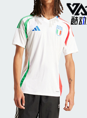 Adidas/阿迪达斯正品FIGC A JSY男士足球运动短袖球衣IN0656