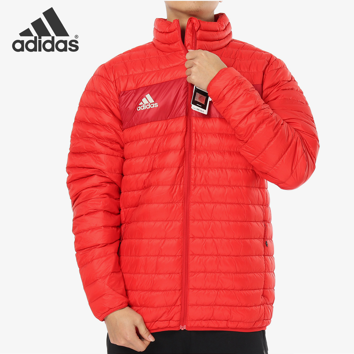 Adidas/阿迪达斯正品冬季拜仁慕尼黑足球男子运动羽绒服 CY6111